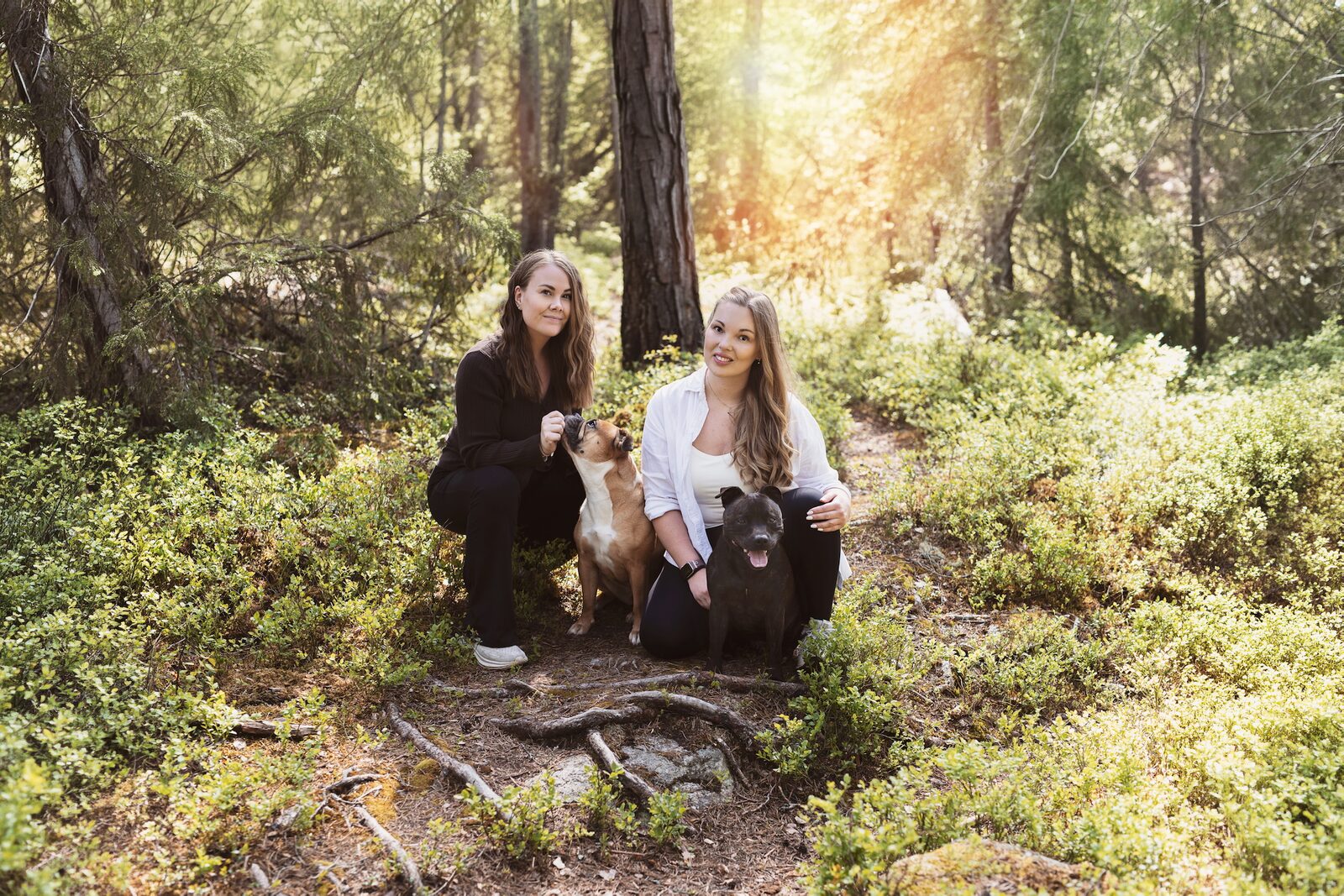 BarkBuddies och hundar i naturlig miljö